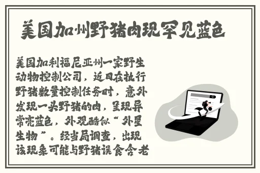 911爆料网八卦最新版本更新内容