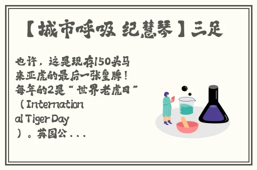 麻豆小视频